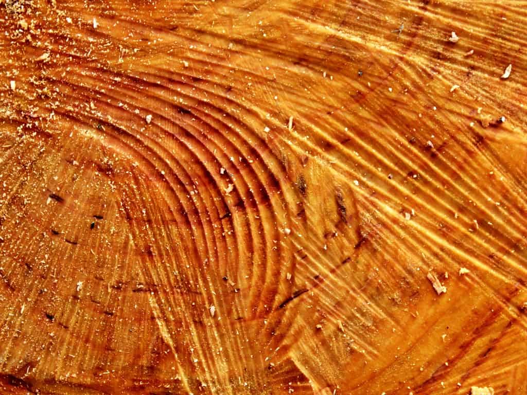 Reparación de desperfectos en madera 
